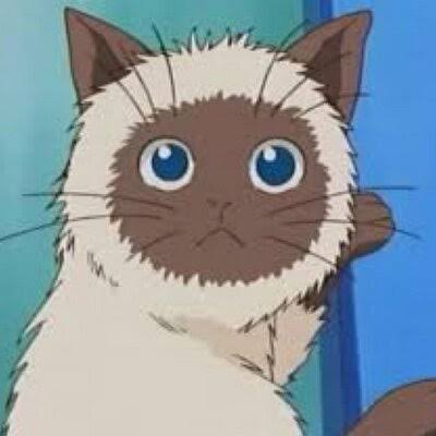 主役以外のキャラで何のアニメか分かったら＋