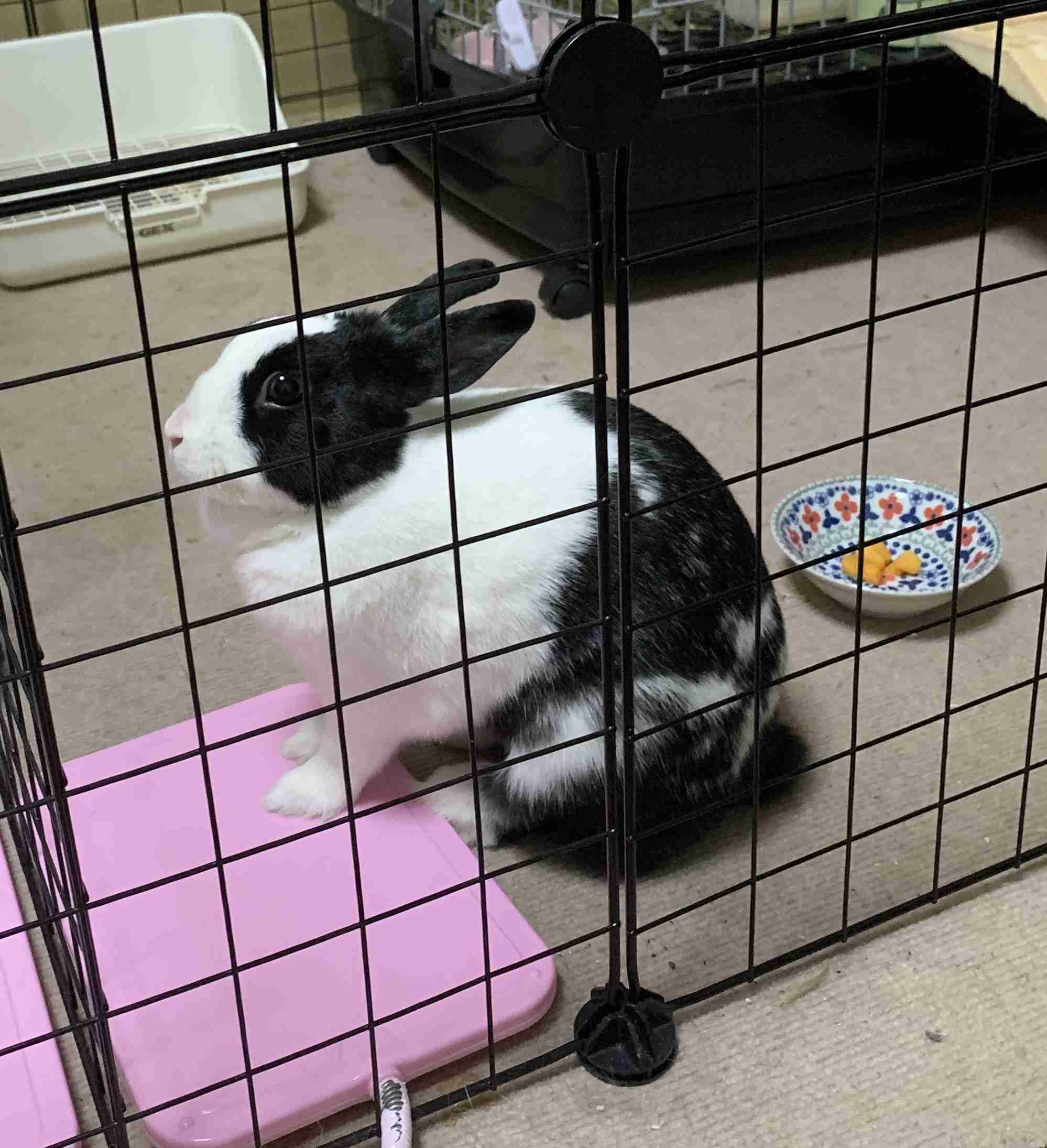 寒いので雑談しよう