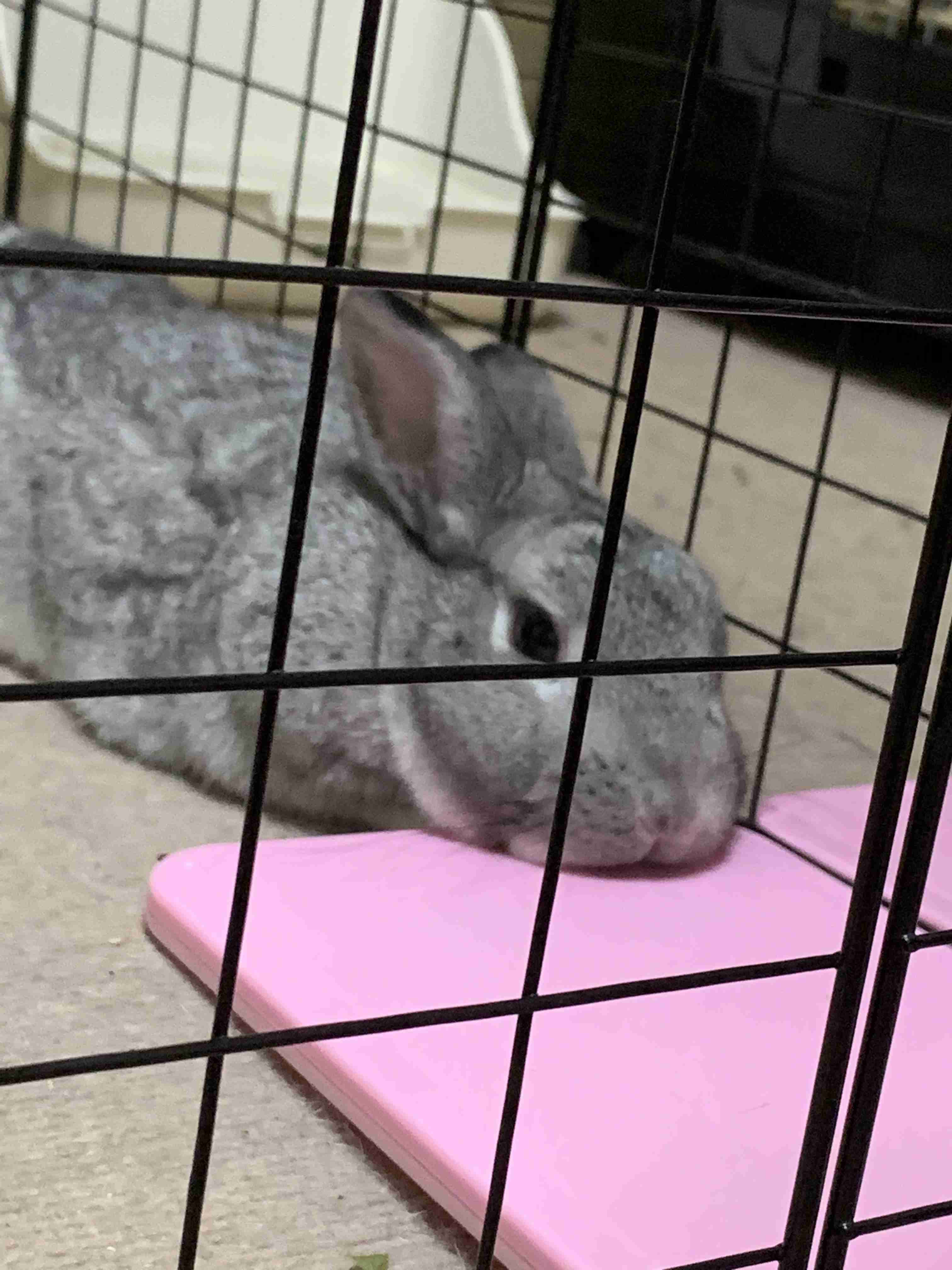 寒いので雑談しよう