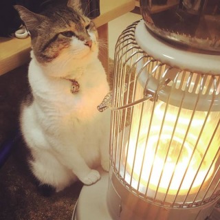 寒いので雑談しよう