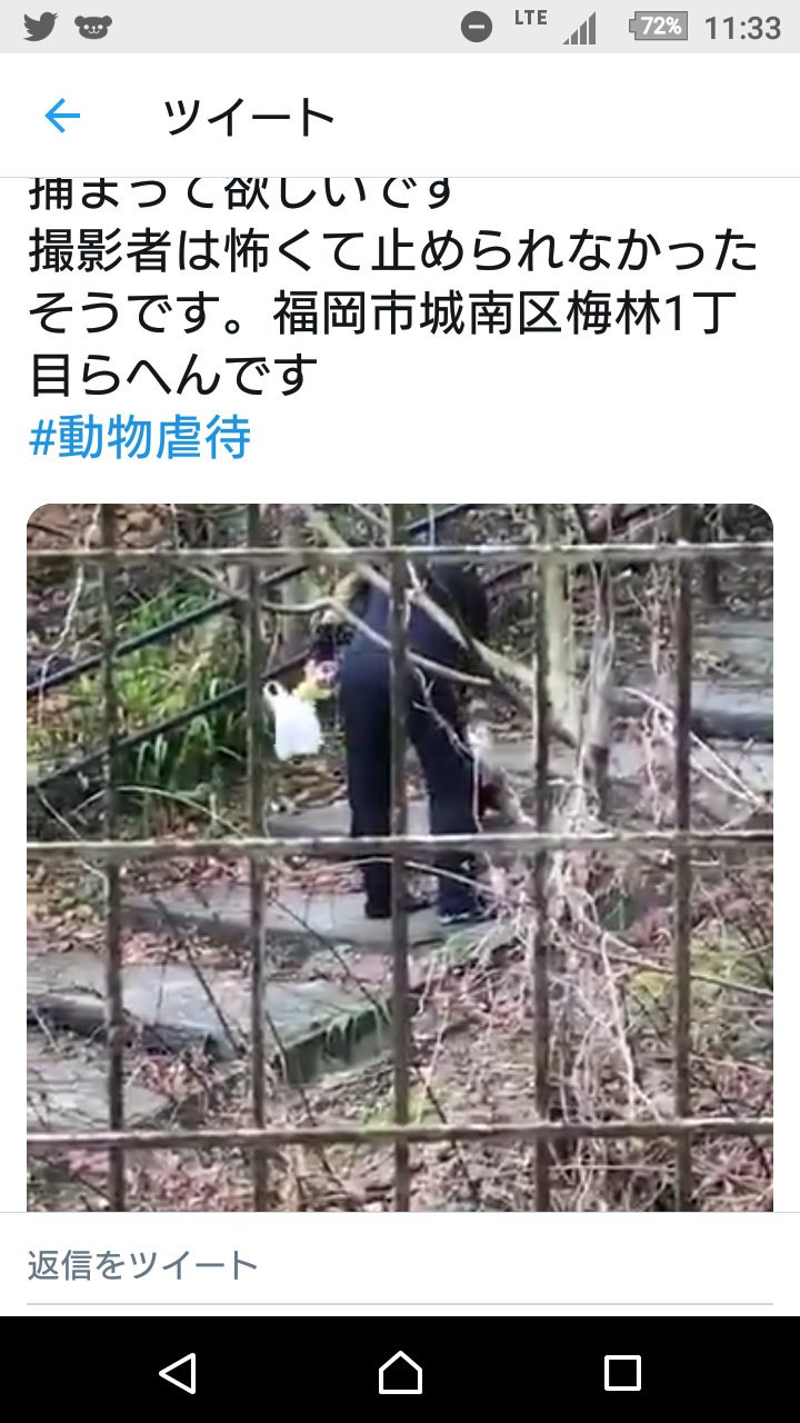 寒いので雑談しよう