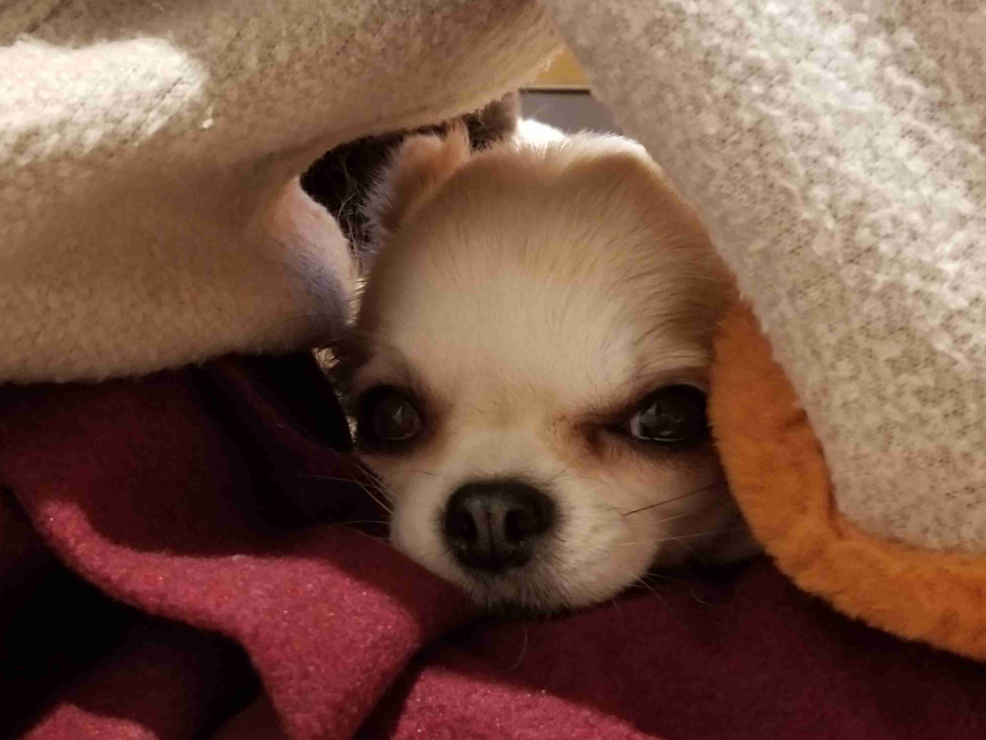 寒いので雑談しよう