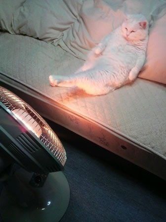 寒いので雑談しよう