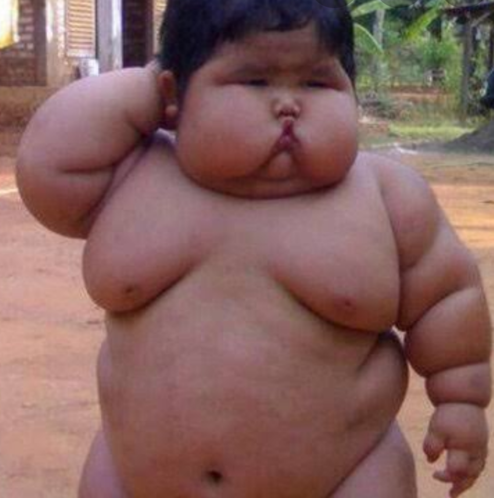 痩せたいデブの為に現実を突きつけるトピpart2