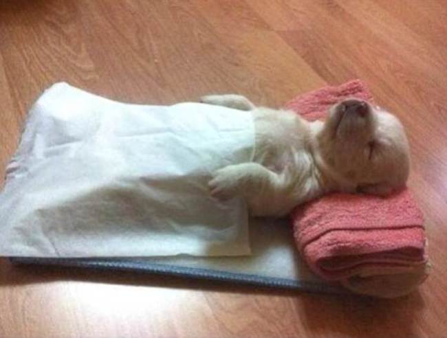 自宅の中で落ち着く場所はどこですか?