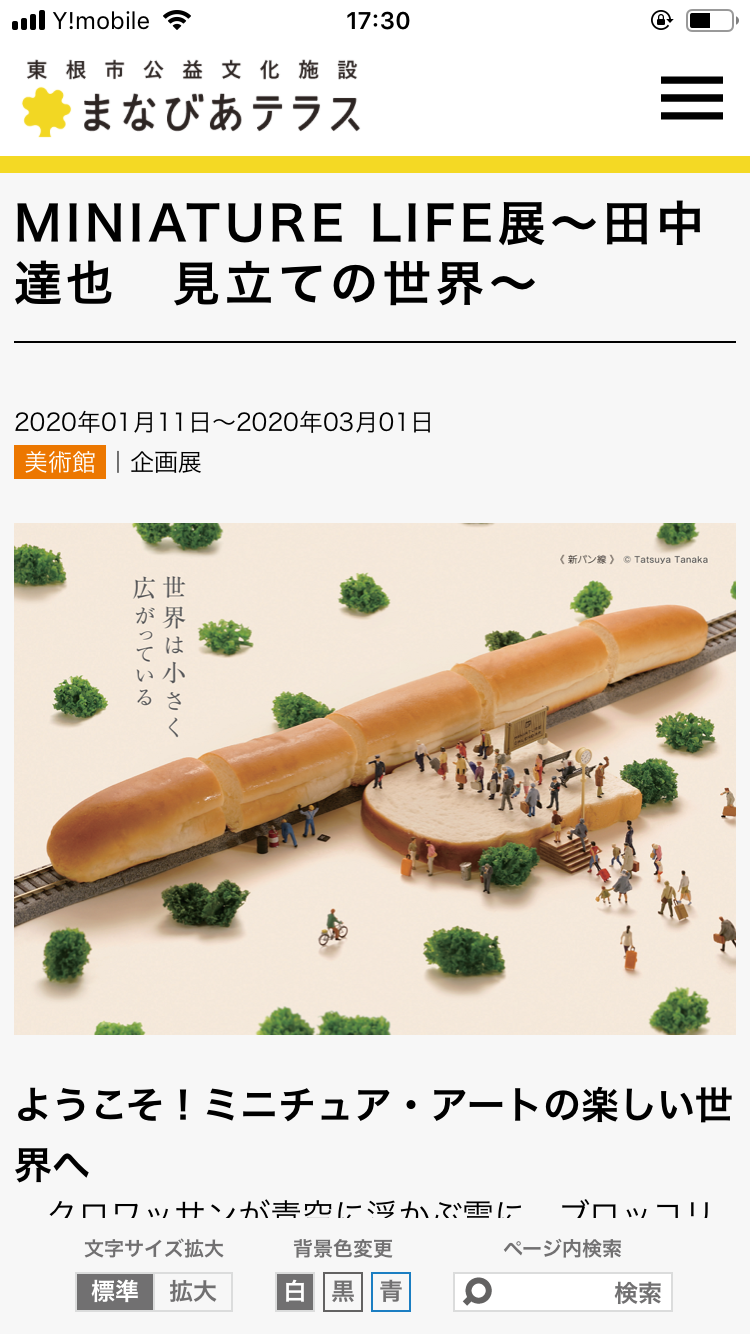 小さい物（ミニチュア）が好きな人