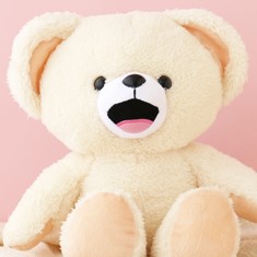 ○○だけの写真集、一冊丸ごと○○だけの本があったら買いたい！