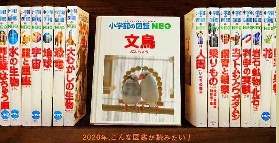 ○○だけの写真集、一冊丸ごと○○だけの本があったら買いたい！