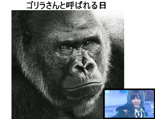 これを見るとあれを思い出す