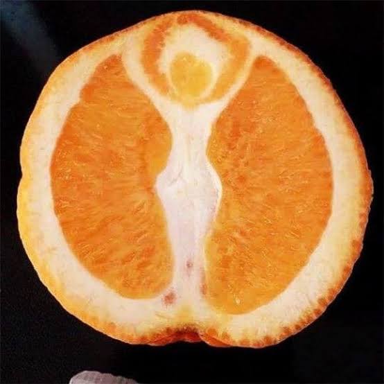 これを見るとあれを思い出す