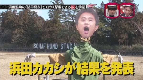 ベランダに鳥が来て困っています