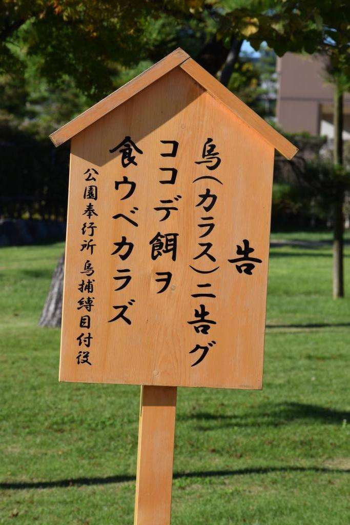 ベランダに鳥が来て困っています