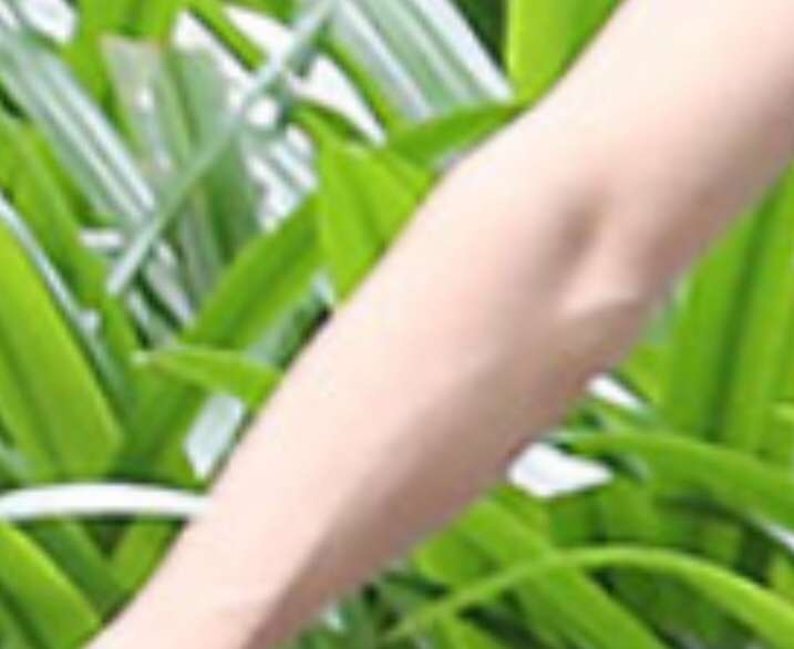 【クリスマス】メッセージカード何書く？