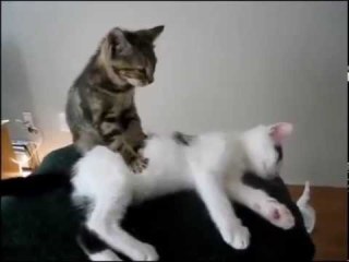 どこかしら痛めてる系の画像下さい!