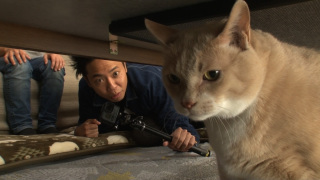 [芸人版] 彼氏感のある画像を貼るトピPart2