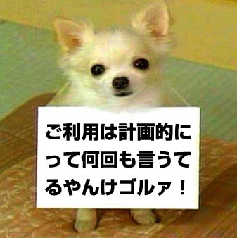 借金返済中の方いますか？