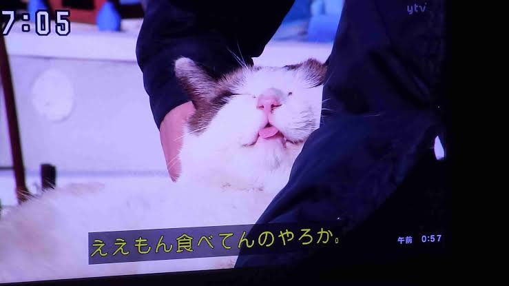 【スギちゃん雑談】風邪も寒さも吹き飛ばそうぜぇ〜⛄️ part44