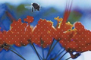 ジャケット画像で曲名アーティスト名を当てるトピ