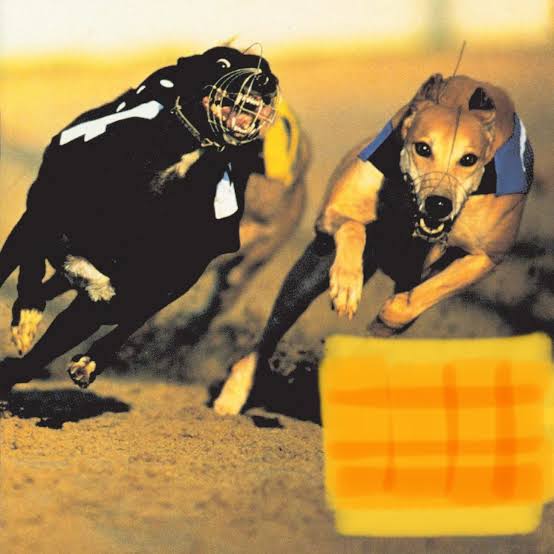 ジャケット画像で曲名アーティスト名を当てるトピ