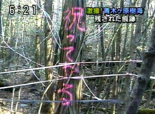 元NGT48山口真帆、喜びの女優デビュー「いろんな人への勇気に」
