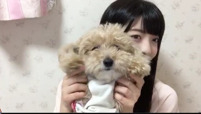 元NGT48山口真帆、喜びの女優デビュー「いろんな人への勇気に」