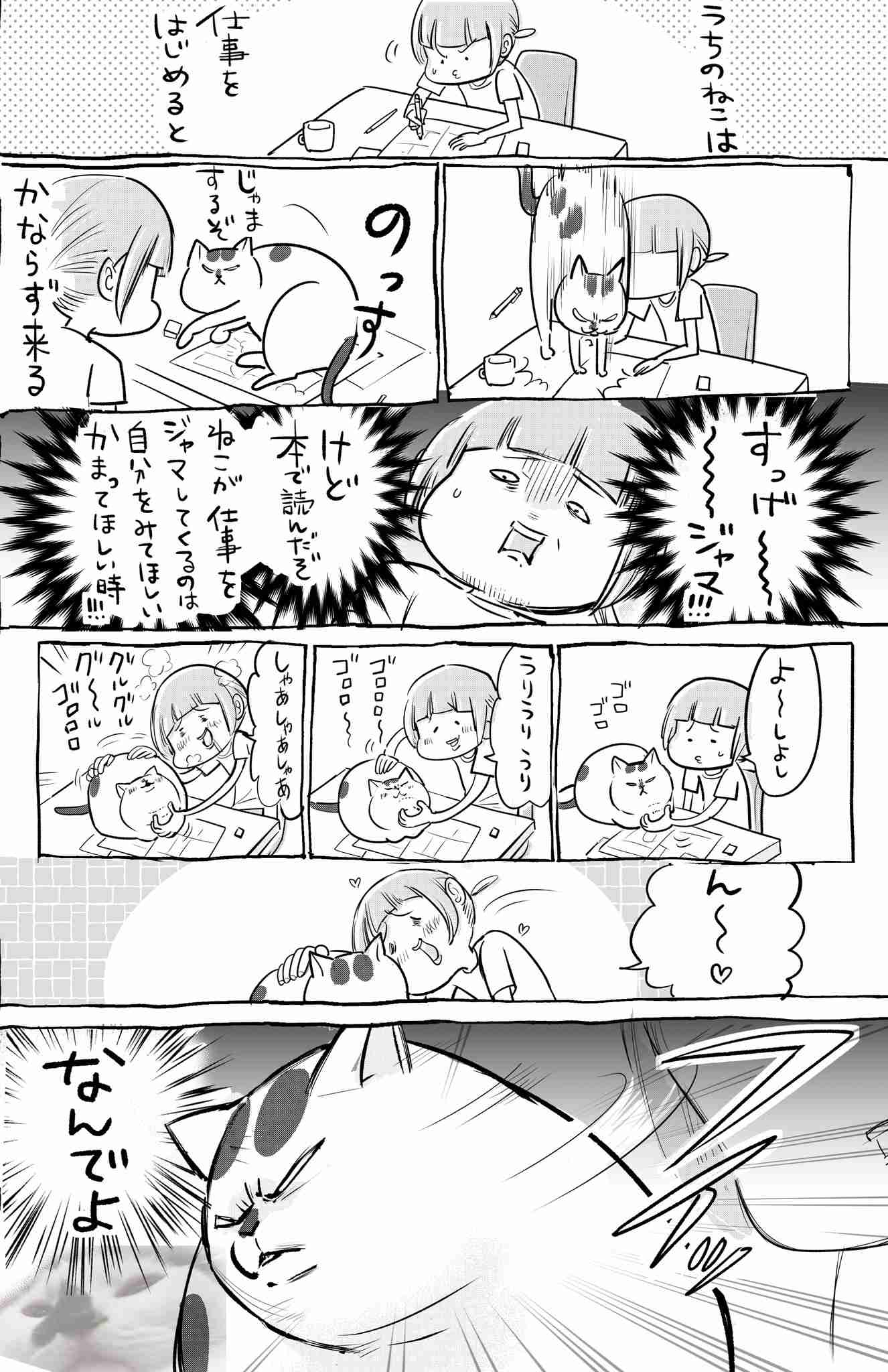 「ネコ好きは無神論者」「神に求めるものをネコで代用している」という研究結果