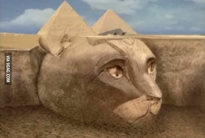 「ネコ好きは無神論者」「神に求めるものをネコで代用している」という研究結果