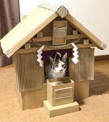 「ネコ好きは無神論者」「神に求めるものをネコで代用している」という研究結果