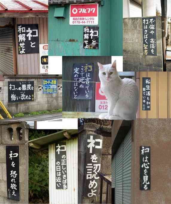 「ネコ好きは無神論者」「神に求めるものをネコで代用している」という研究結果