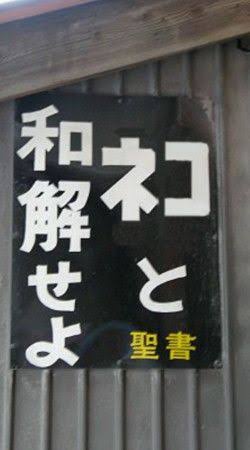 「ネコ好きは無神論者」「神に求めるものをネコで代用している」という研究結果