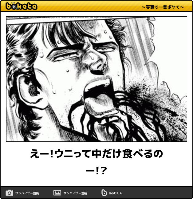 キャベツを取り合うウニたちに300万再生の反響、海荒らす邪魔者が“カワイイ”人気者に