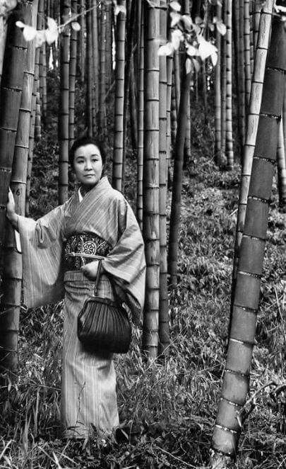 瀬戸内寂聴さんが「不倫でもいい」から恋愛すべきと断言する理由
