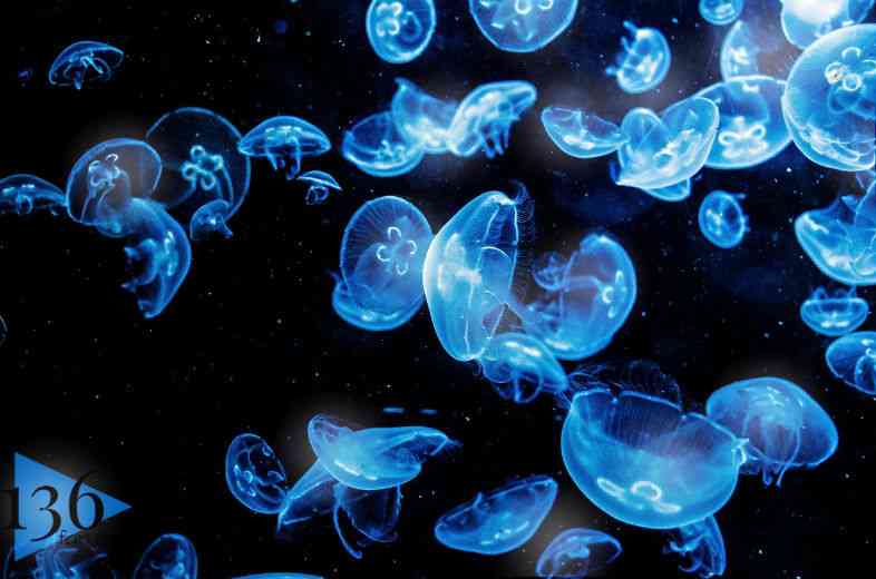 旦那が子どもを見てくれる！さて何する？