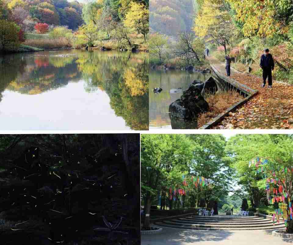 横浜市民あるある