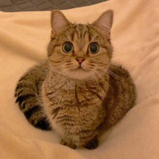 衣装合わせ誰と行きましたか？