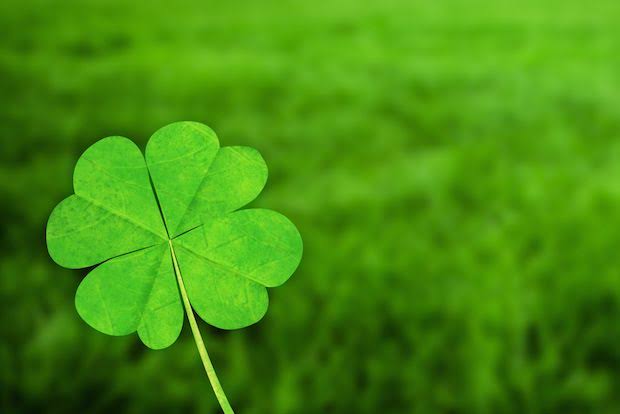 強迫神経症の家族を持つ方