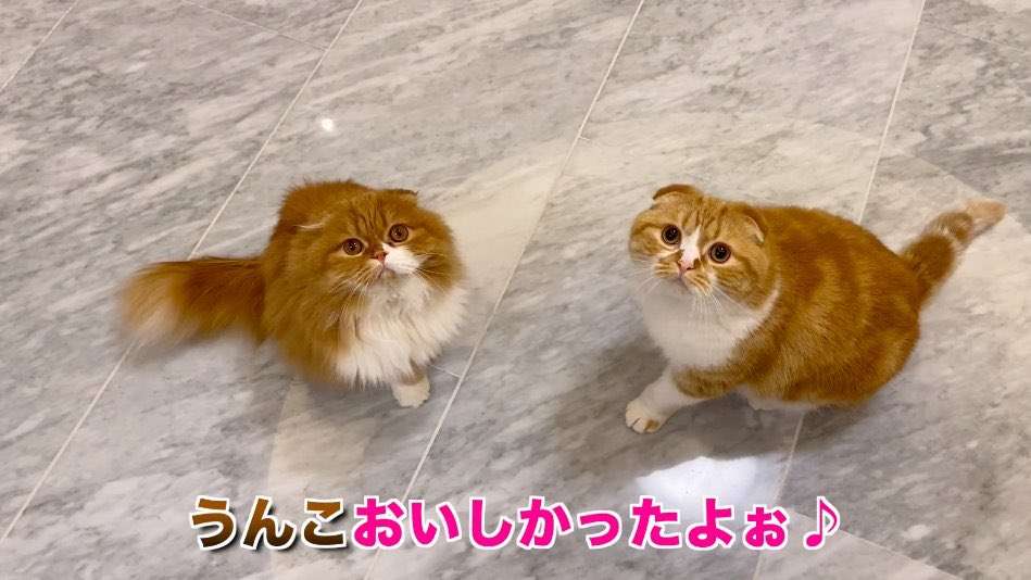 【アンチ立ち入り禁止】好きなユーチューバーを語ろう