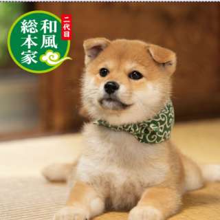 テレ東・鷲見玲奈アナが3月で退社、セント・フォース入り…昨年末不倫疑惑報道