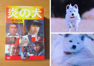 この番組リアルタイムで観てたらプラス