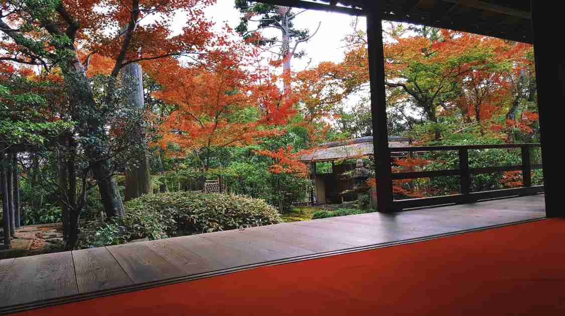 好きだった昼ドラ