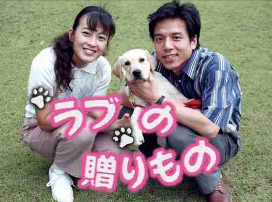 好きだった昼ドラ