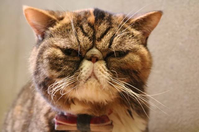 眉間にシワが寄る瞬間