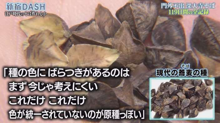 『鉄腕ダッシュ』の栽培企画で