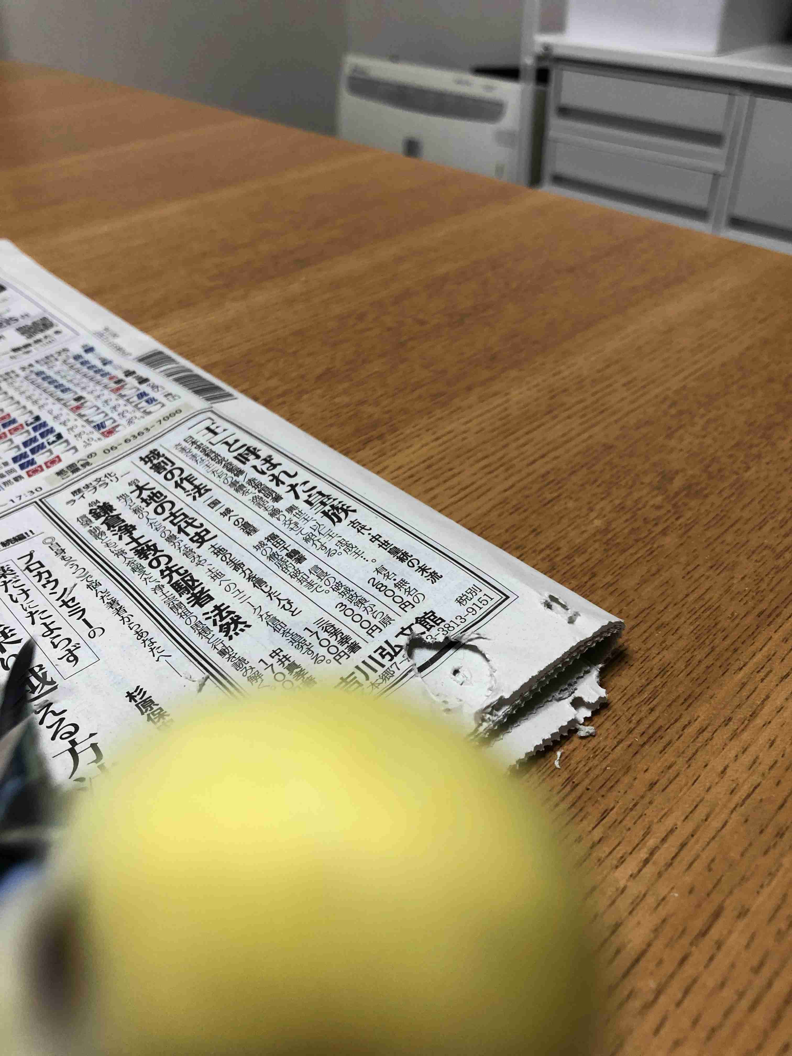 《身バレしない程度に》お宅の愛鳥さん見せてください!