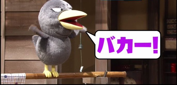 《身バレしない程度に》お宅の愛鳥さん見せてください!