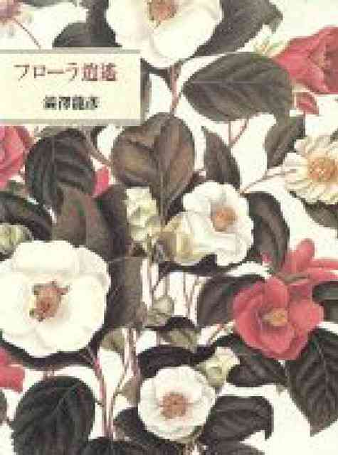 表紙・装丁に惹かれた本