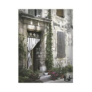 表紙・装丁に惹かれた本