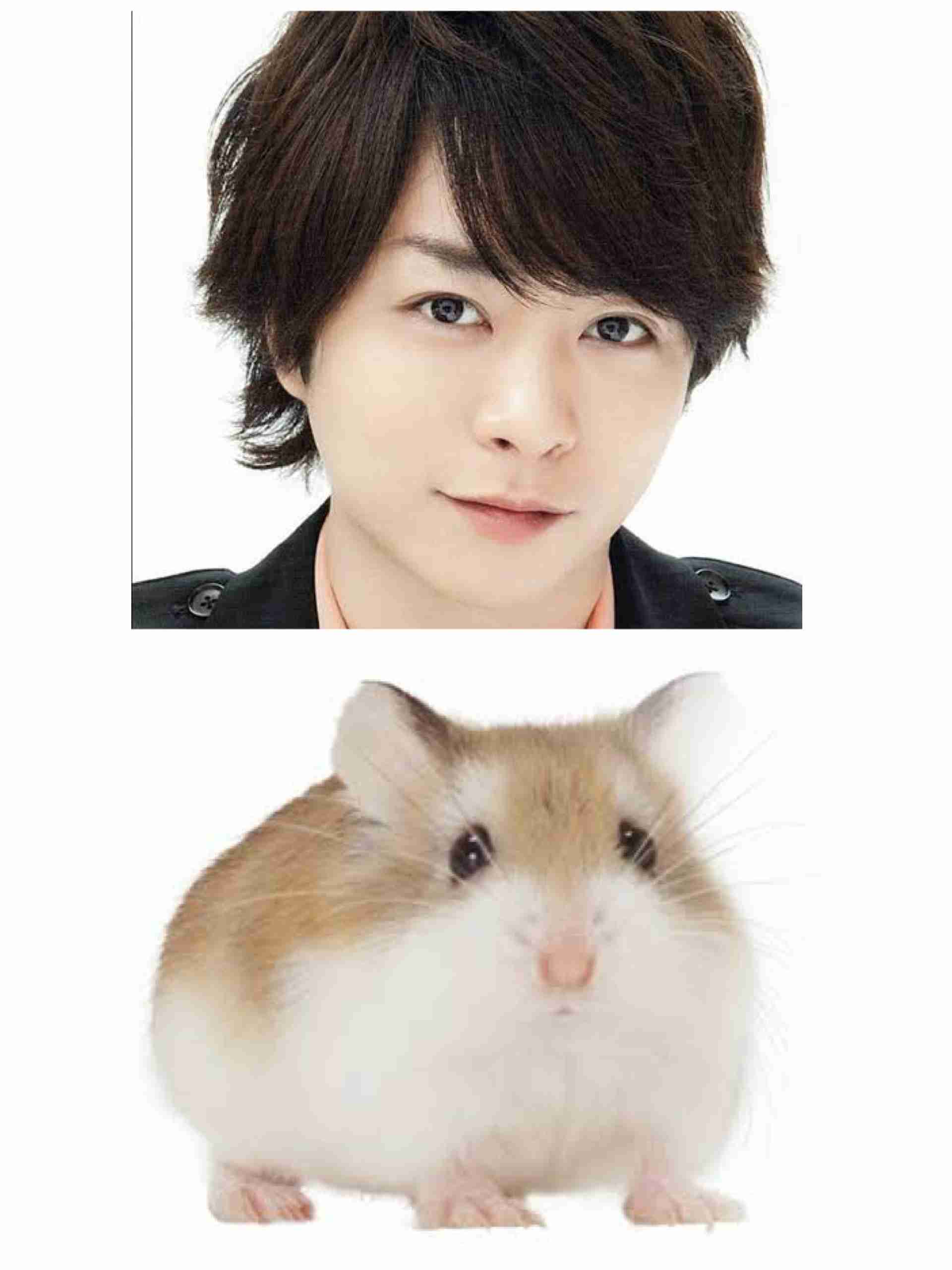鼻の特徴的な人集まれ!