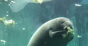 最近衝撃的だったこと