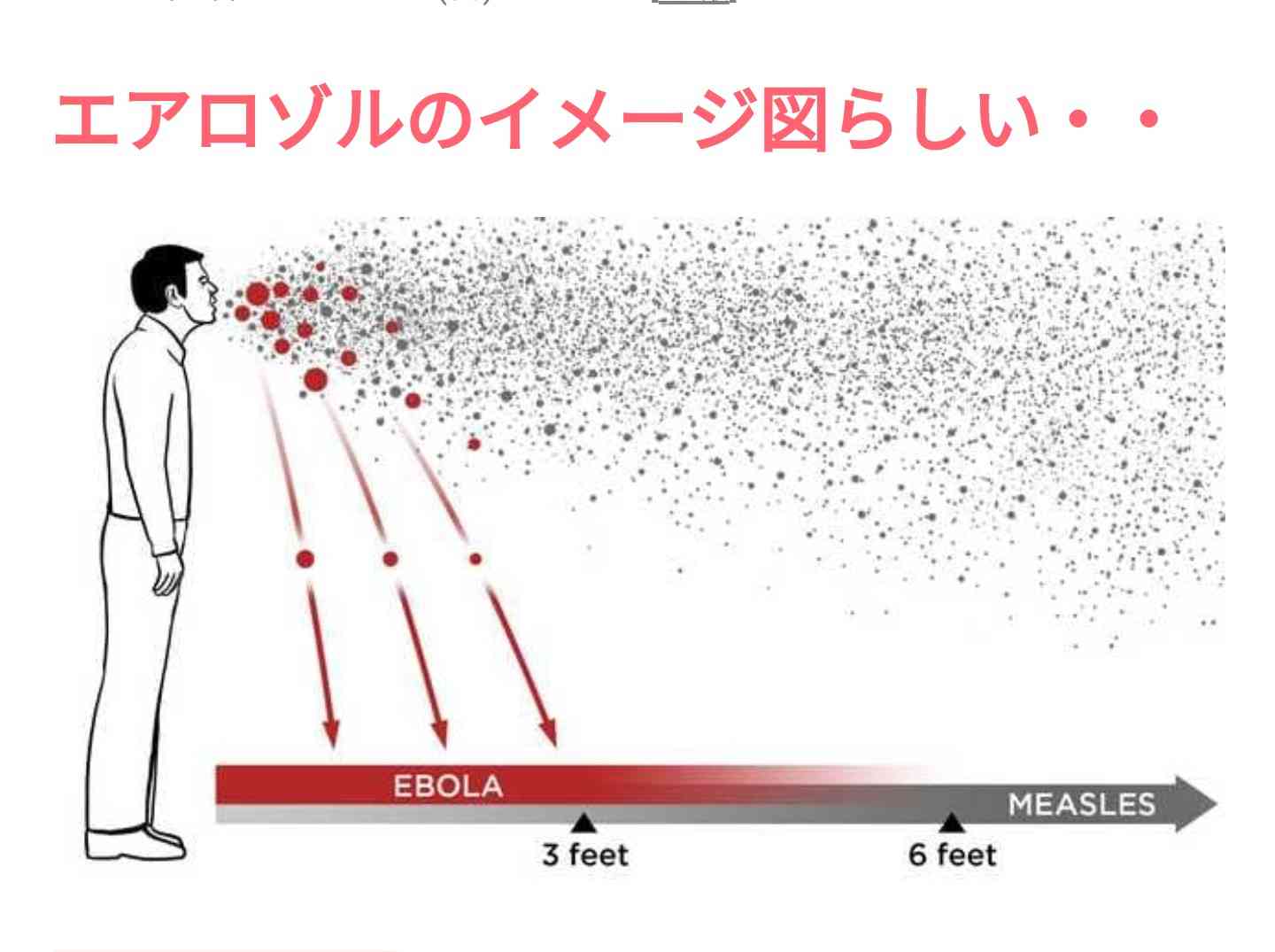 新型肺炎死者、SARS超え　中国で803人　封じ込め難航